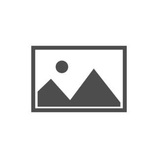 PUNTA ALLEN PARA (UR8312X) 2,5x120 mm PRO